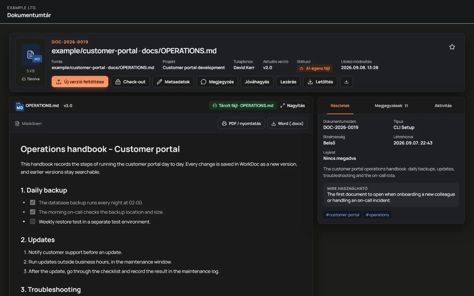 A document page with preview and versions, sample data