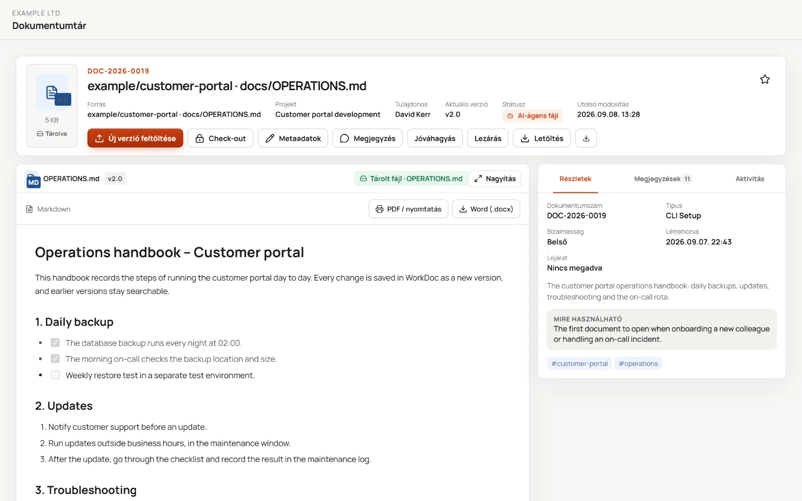 A document page with preview and versions, sample data